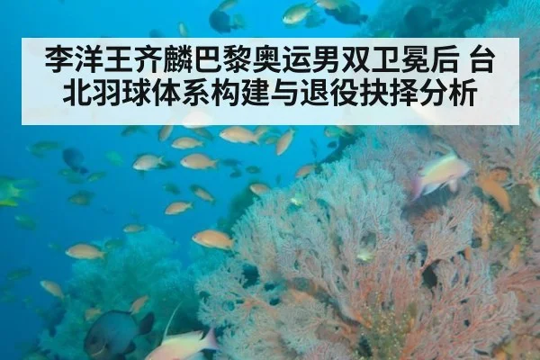 李洋王齐麟巴黎奥运男双卫冕后 台北羽球体系构建与退役抉择分析
